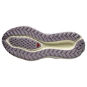 Încălțăminte de alergare pentru femei Salomon Aero Glide 3 GRVL Sea Foam/Vanilla Ice/Nirvana
