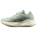 Încălțăminte de alergare pentru femei Salomon Aero Glide 3 GRVL Sea Foam/Vanilla Ice/Nirvana