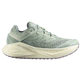 Încălțăminte de alergare pentru femei Salomon Aero Glide 3 GRVL Sea Foam/Vanilla Ice/Nirvana