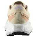 Încălțăminte de alergare pentru femei Salomon Aero Glide 3 GRVL Shortbread/White/Fusion Coral