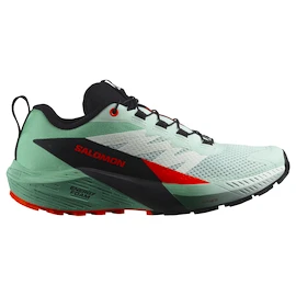 Încălțăminte de alergare pentru femei Salomon Sense Ride 5 Bay/Black/Cherry Tomato