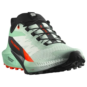 Încălțăminte de alergare pentru femei Salomon Sense Ride 5 Bay/Black/Cherry Tomato