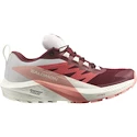 Încălțăminte de alergare pentru femei Salomon Sense Ride 5 GTX W Syrah/Vanila/Pea  UK 5