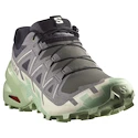 Încălțăminte de alergare pentru femei Salomon Speedcross 6 Castlerock/Vanilla Ice/Smoke Green