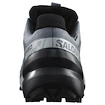 Încălțăminte de alergare pentru femei Salomon Speedcross 6 Gore-Tex Flint Stone/Black/Heather