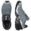 Încălțăminte de alergare pentru femei Salomon Speedcross 6 Gore-Tex Flint Stone/Black/Heather