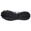 Încălțăminte de alergare pentru femei Salomon Speedcross 6 Gore-Tex Flint Stone/Black/Heather