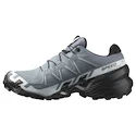 Încălțăminte de alergare pentru femei Salomon Speedcross 6 Gore-Tex Flint Stone/Black/Heather