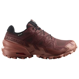 Încălțăminte de alergare pentru femei Salomon Speedcross 6 Gore-Tex Rum Raisin/Barn Red/Canyon Clay