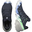 Încălțăminte de alergare pentru femei Salomon Speedcross 6 Gtx Carbon / Provence / White