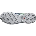 Încălțăminte de alergare pentru femei Salomon Speedcross 6 Gtx Carbon / Provence / White