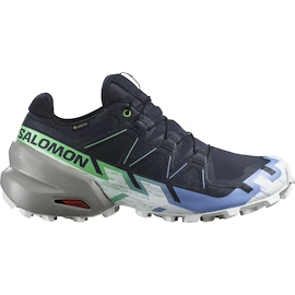 Încălțăminte de alergare pentru femei Salomon Speedcross 6 Gtx Carbon / Provence / White