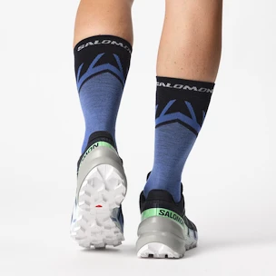 Încălțăminte de alergare pentru femei Salomon Speedcross 6 Gtx Carbon / Provence / White