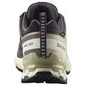 Încălțăminte de alergare pentru femei Salomon Xa Pro 3D V9 Gore-Tex Nine Iron/Oxford Tan/Alfalfa
