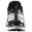 Încălțăminte de alergare pentru femei Salomon Xa Pro 3D V9 Gore-Tex Quiet Shade/Lily Pad/Blue Haze