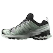 Încălțăminte de alergare pentru femei Salomon Xa Pro 3D V9 Gore-Tex Quiet Shade/Lily Pad/Blue Haze