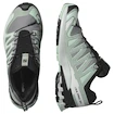 Încălțăminte de alergare pentru femei Salomon Xa Pro 3D V9 Gore-Tex Quiet Shade/Lily Pad/Blue Haze