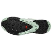 Încălțăminte de alergare pentru femei Salomon Xa Pro 3D V9 Gore-Tex Quiet Shade/Lily Pad/Blue Haze