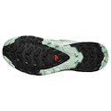 Încălțăminte de alergare pentru femei Salomon Xa Pro 3D V9 Gore-Tex Quiet Shade/Lily Pad/Blue Haze