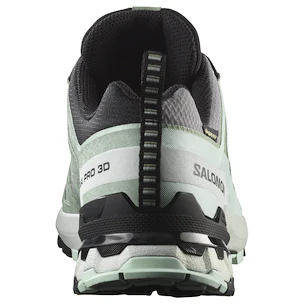 Încălțăminte de alergare pentru femei Salomon Xa Pro 3D V9 Gore-Tex Quiet Shade/Lily Pad/Blue Haze