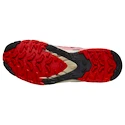 Încălțăminte de alergare pentru femei Salomon Xa Pro 3D V9 Rouge Red/Vanilla Ice/Fiery Red