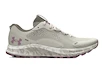 Încălțăminte de alergare pentru femei Under Armour Charged Bandit TR 2-GRN  EUR 42,5