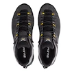 Încălțăminte outdoor pentru bărbați Salewa  ALP Trainer 2 Gtx M Onyx/Black