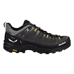 Încălțăminte outdoor pentru bărbați Salewa  ALP Trainer 2 Gtx M Onyx/Black