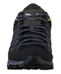 Încălțăminte outdoor pentru bărbați Salewa  MS MTN Trainer Lite Gtx Black/Black