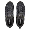 Încălțăminte outdoor pentru bărbați Salewa  MS MTN Trainer Lite Gtx Black/Black