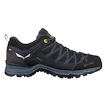 Încălțăminte outdoor pentru bărbați Salewa  MS MTN Trainer Lite Gtx Black/Black