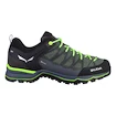 Încălțăminte outdoor pentru bărbați Salewa  MS MTN Trainer Lite Gtx Myrtle/Ombre Blue  UK 9,5