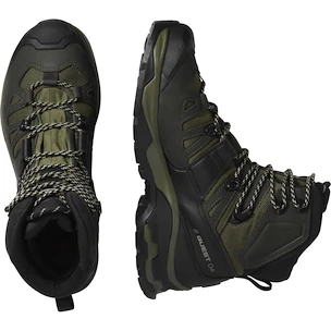 Încălțăminte outdoor pentru bărbați Salomon Quest 4 Gore-Tex Olive Night/Peat/Safari  UK 9