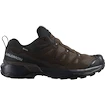 Încălțăminte outdoor pentru bărbați Salomon X Ultra 360 Leather Gore-Tex Dark Earth/Delicioso/Sharkskin  UK 10