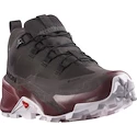 Încălțăminte outdoor pentru femei Salomon  CROSS HIKE GTX 2 W