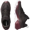 Încălțăminte outdoor pentru femei Salomon  CROSS HIKE GTX 2 W