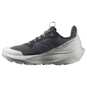 Încălțăminte outdoor pentru femei Salomon Elixir Activ Gore-Tex India Ink/Glacier Gray/Orchid Petal