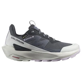 Încălțăminte outdoor pentru femei Salomon Elixir Activ Gore-Tex India Ink/Glacier Gray/Orchid Petal