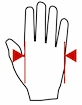 Mănuși de fitness MadMax  Outdoor Gloves MOG001