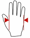 Mănuși de fitness MadMax  Outdoor Gloves MOG001