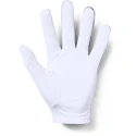 Mănuși pentru bărbați Under Armour  Medal Golf Glove grey LLG