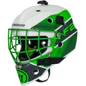 Mască de hochei pe gheață pentru portar Warrior Ritual F2 E Neon/Green Youth