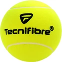Minge de tenis Tecnifibre  Giant Promo Ball