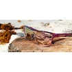 Ochelari sport Tifosi  Sizzle Crystal Peach Blush Pink Mirror