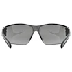 Ochelari sport Uvex  Equate Black Matt / Smoke (S5330822216)