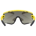 Ochelari sport Uvex  Sportstyle 236 Set Sunbee-Black Mat/Mir.Silver Cat. 3 + Cat. 0 (S5330046216)
