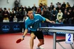 Paletă de tenis de masă Donic Schildkröt  Top Team 800