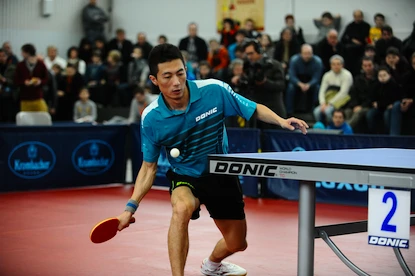 Paletă de tenis de masă Donic Schildkröt  Top Team 800