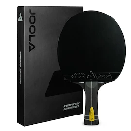 Paletă de tenis de masă Joola Infinity Carbon