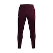 Pantaloni de trening pentru bărbați Under Armour  Terry Pant Red XL